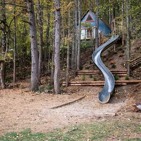 دومين لونغ بري