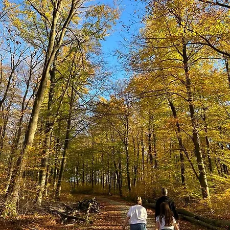 دومين لونغ بري ستافيلوت