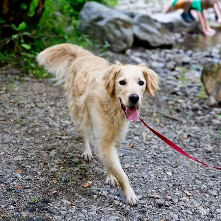 بيت للعطل دومين لونغ بري *