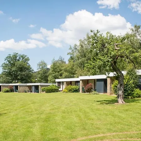 دومين لونغ بري