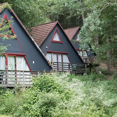 دومين لونغ بري بيت للعطل *