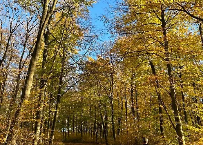 Domaine Long Pre Stavelot