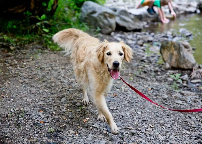 Hébergement de vacances Domaine Long Pre *